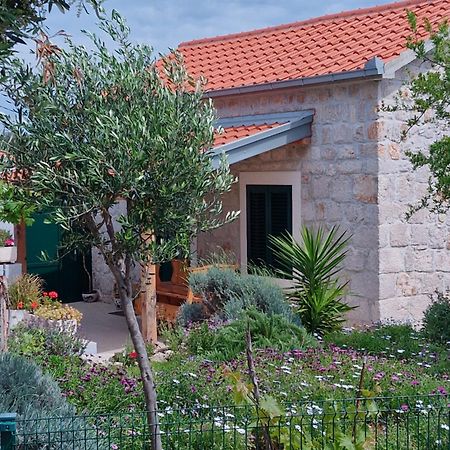 Villa Kuca Za Odmor Maruska à Drvenik Mali Extérieur photo