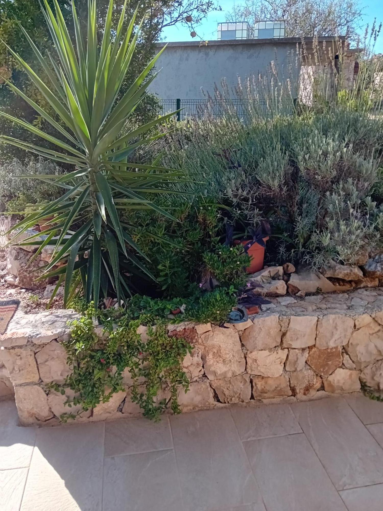 Villa Kuca Za Odmor Maruska à Drvenik Mali Extérieur photo